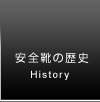 ���S�C�̗��j